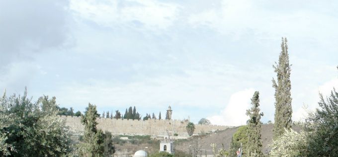 Getsemanehagen mellom Jerusalem og Oljeberget.